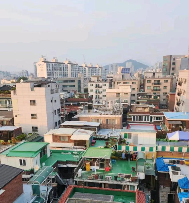 的这是为什么？因为便宜而且凑绿化率开元棋牌韩国首尔的房顶大多绿油油(图5)